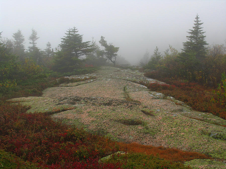 Acadia National Park Photography #1 Photograph by Juergen Roth