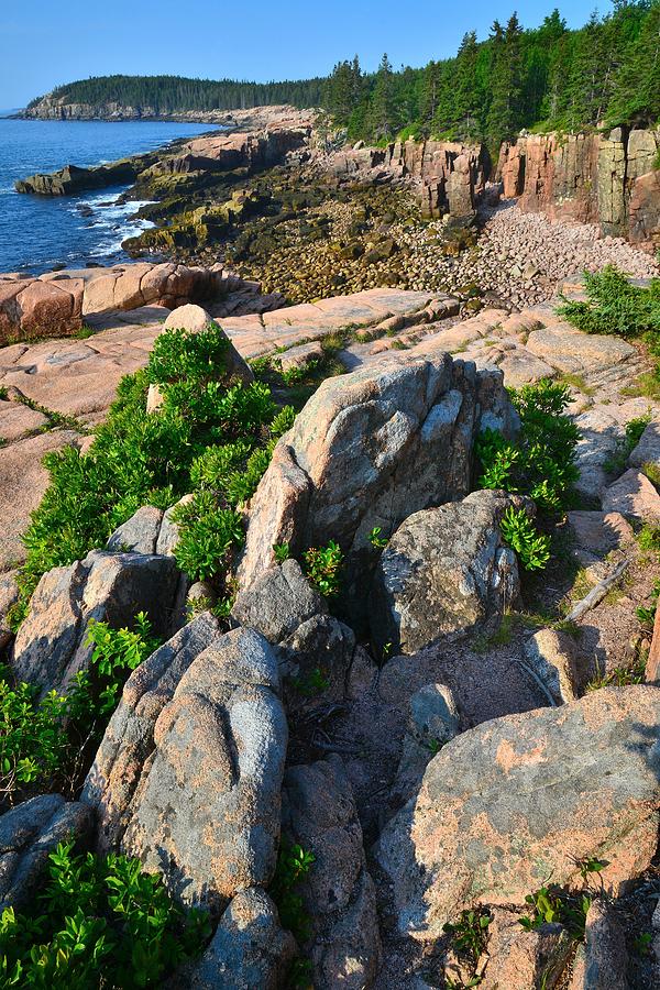 Acadia National Park #1 Photograph by Ray Mathis