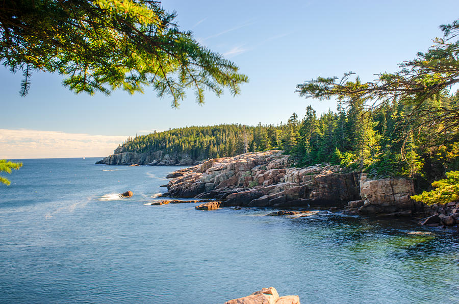 Acadia National Park Shoreline Photograph by Douglas Barnett | Fine Art ...