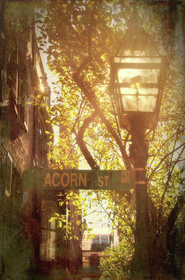 Acorn Street Photograph - Acorn Street - Boston, MA #1 by Joann Vitali