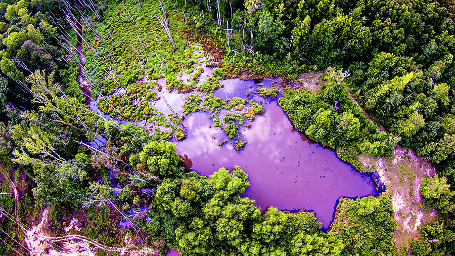 Aerial Over Pond And Forest #1 Photograph by Alex Grichenko