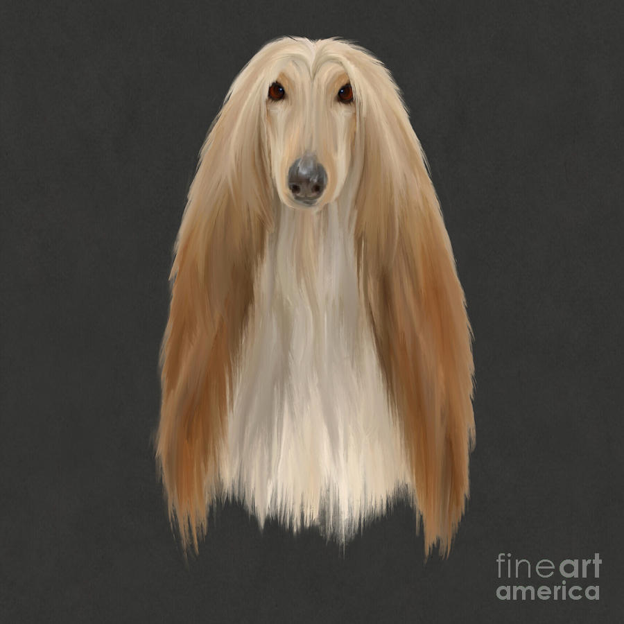Dog Painting - Afghan Hound  #1 by John Edwards