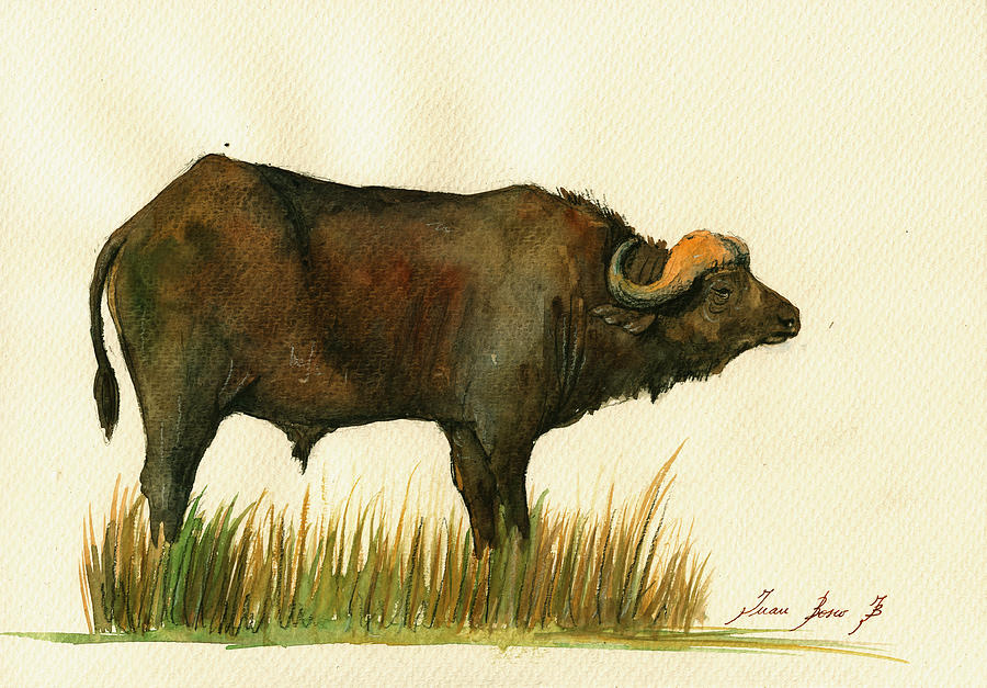 African Buffalo Painting - African buffalo watercolor painting #1 by Juan  Bosco