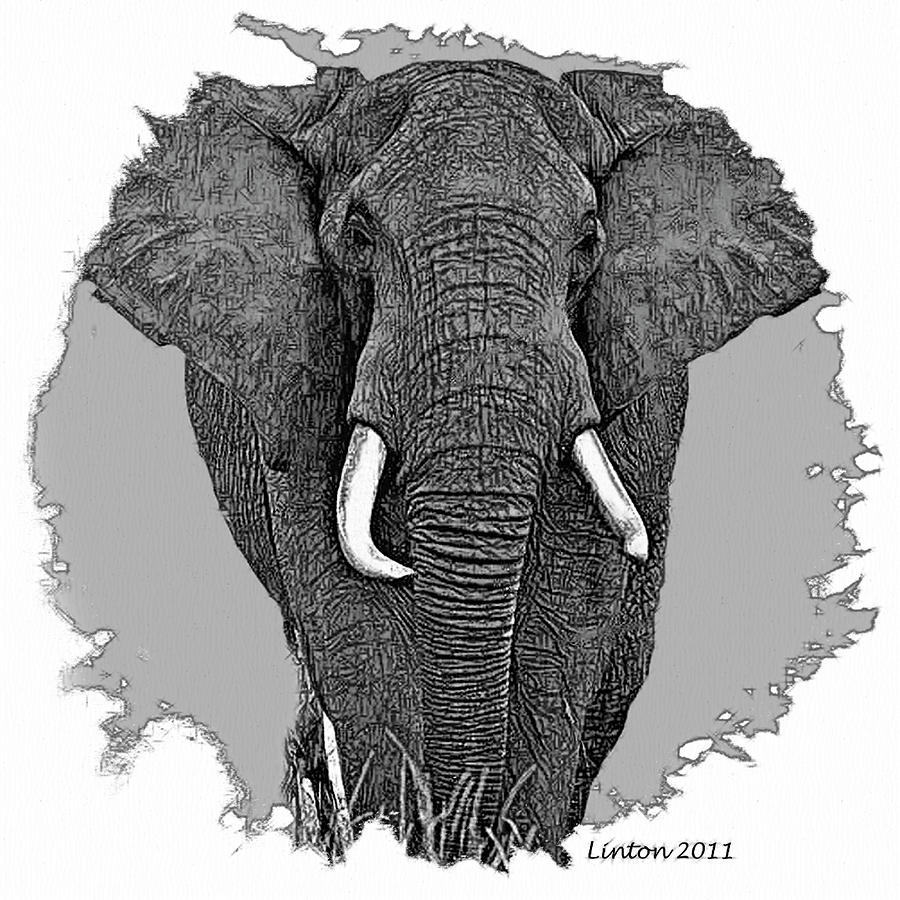 African Bull Elephant 1 #1 Digital Art by Larry Linton