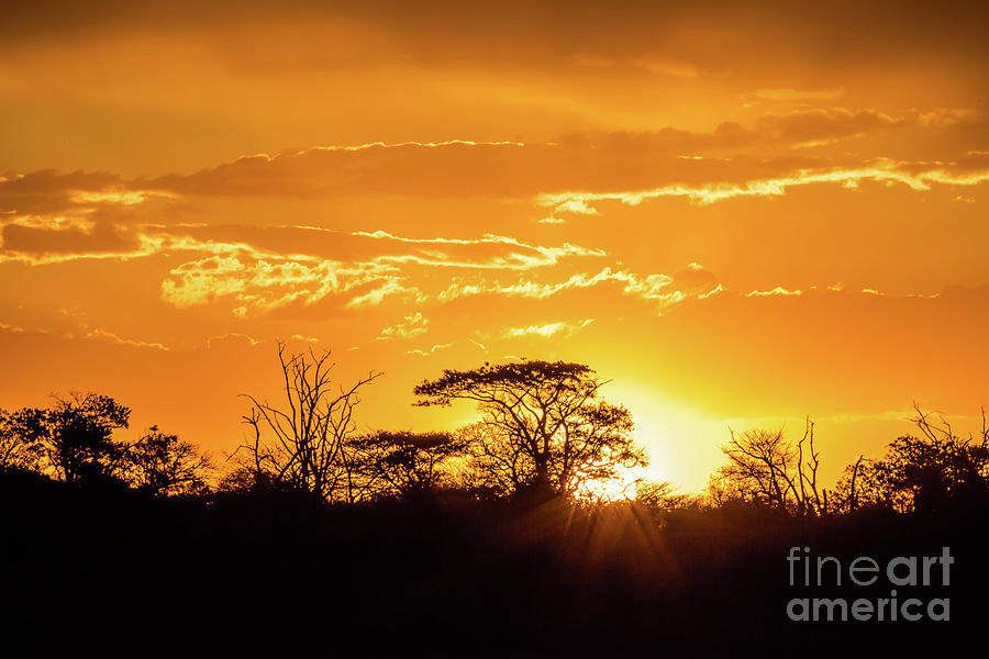 African sunset #1 Photograph by Benny Marty