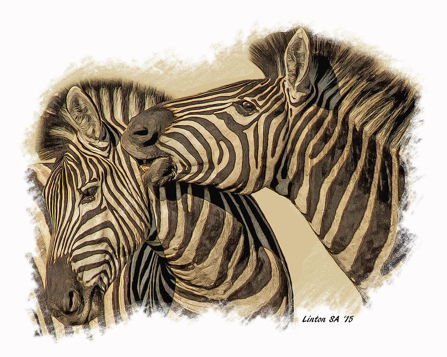 African Zebras #1 Digital Art by Larry Linton