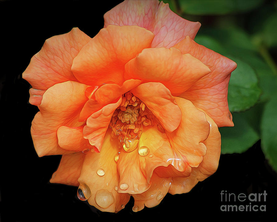 After The Rain Photograph by TN Fairey - Fine Art America