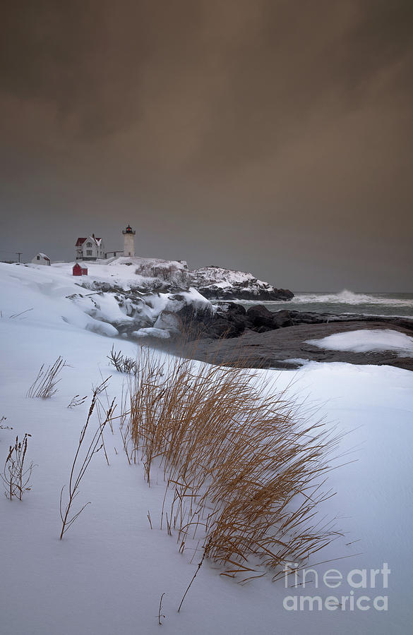 Winter Photograph - After the Storm #1 by Scott Thorp