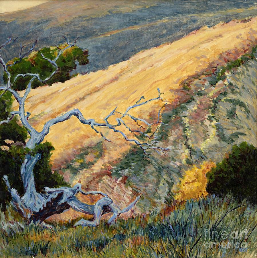 Afternoon Light by Betsee Talavera Afternoon Light by Betsee Talavera