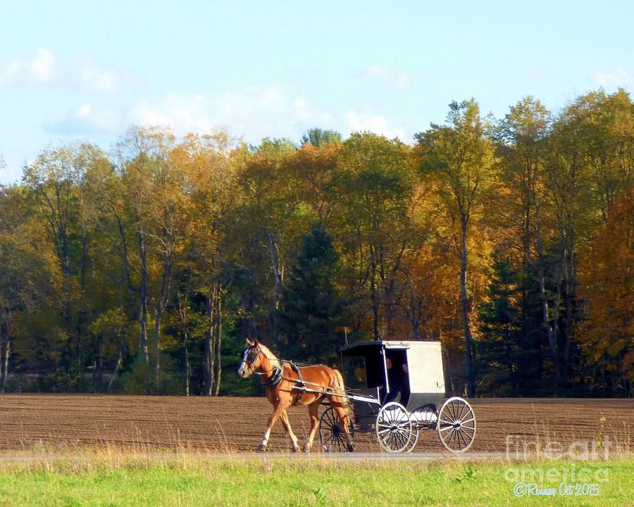 Fall Photograph - Afternoon Ride #1 by Rennae Christman