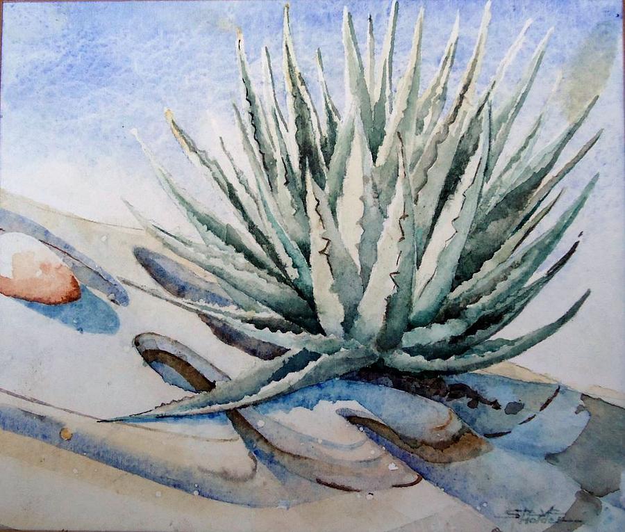 Agave #1 Painting by Steven Holder