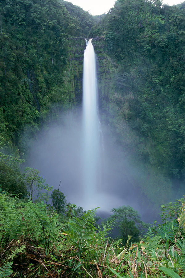 Akaka Falls #1 Photograph by Bill Brennan - Printscapes