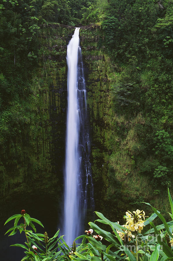 Akaka Falls #1 Photograph by Greg Vaughn - Printscapes