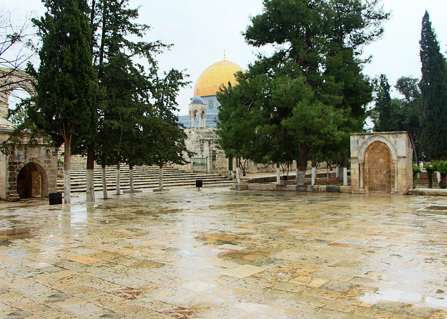 Al Aqsa Domes #1 Photograph by Munir Alawi