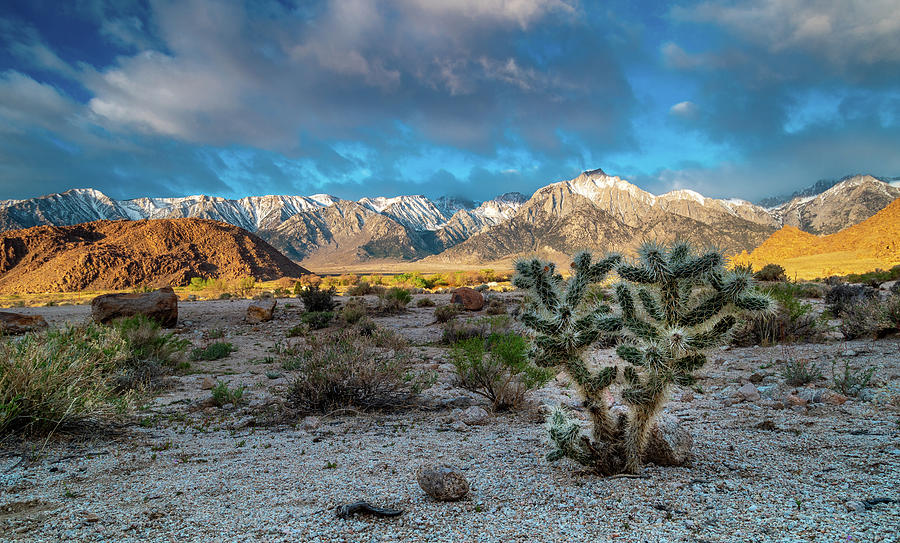 Alabama Hills Sunrise Pyrography By Javier Flores - Fine Art America