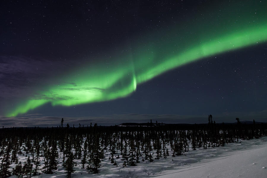 Alaska Aurora Borealis Photograph by Scott Slone