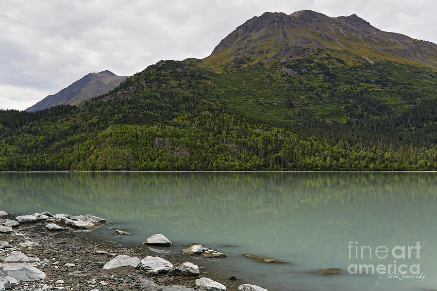 Alaska #1 Photograph by Steve Javorsky