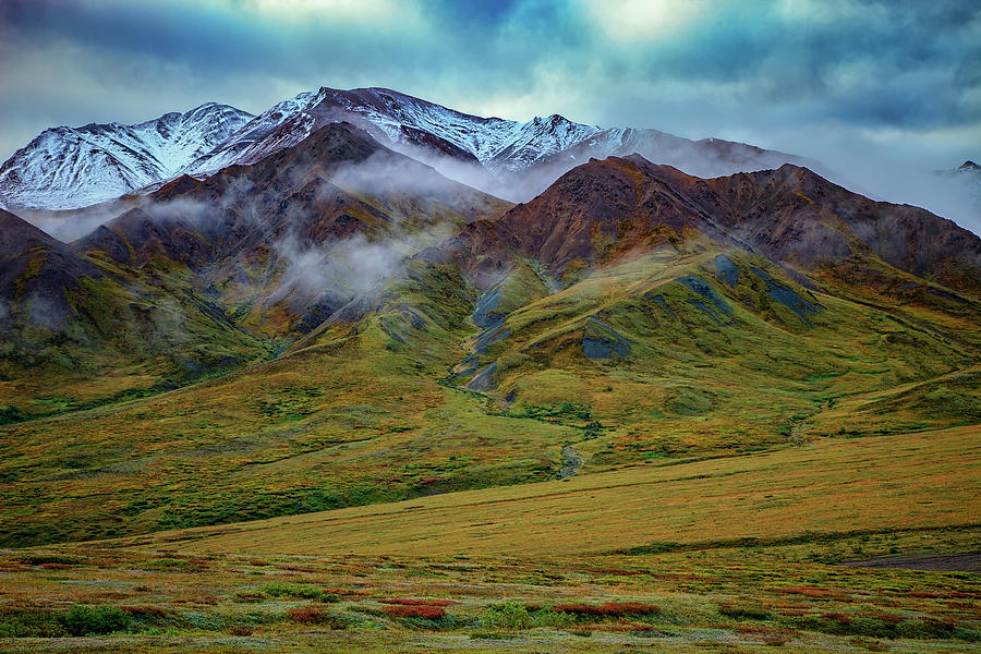 Denali National Park Photograph - Alaskan Foothills #1 by Rick Berk