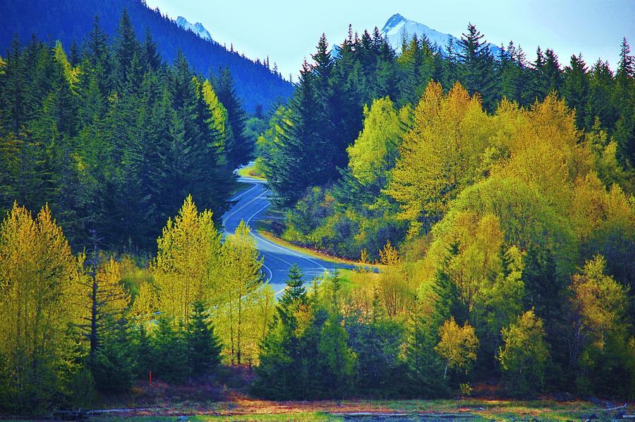Alaskan Highway #1 Photograph by Helen Carson
