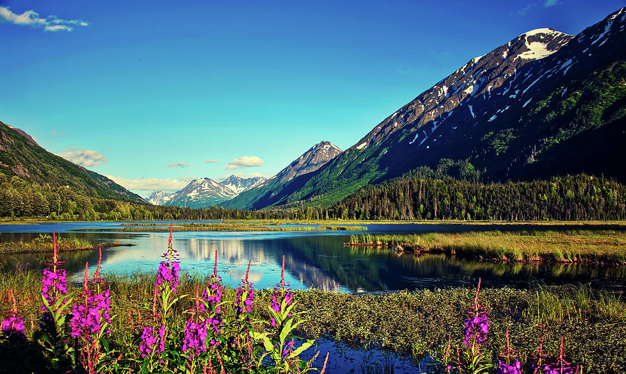 Flower Photograph - Alaskan Lake  #1 by Mountain Dreams