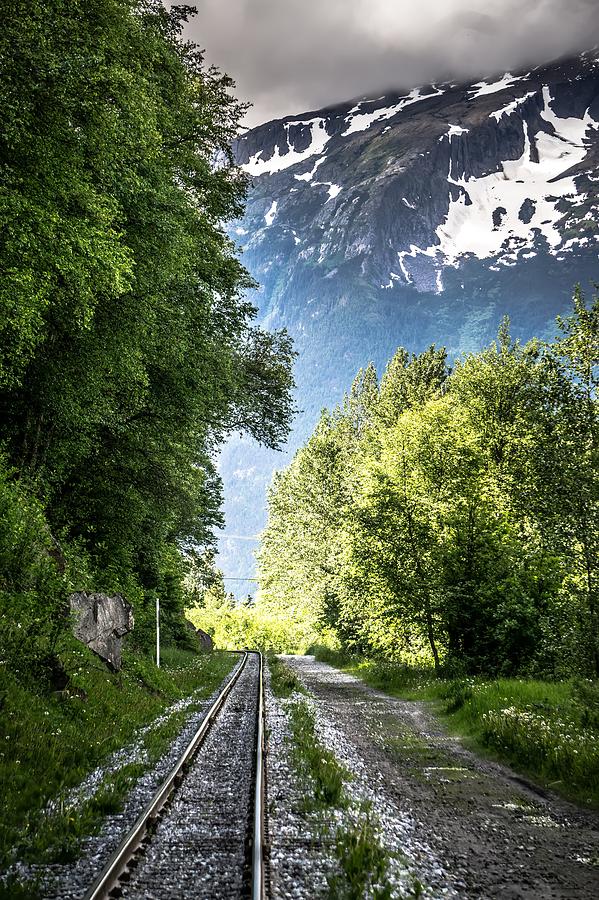 Alaskan Railoard In Mountains Of Whitepass  #1 Photograph by Alex Grichenko