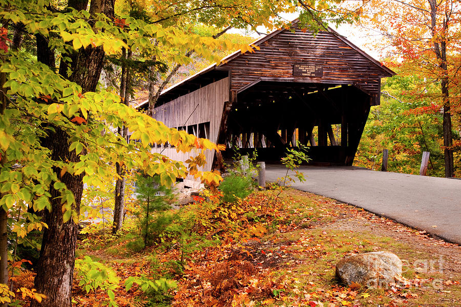 Albany Covered Bridge II #2 Photograph by Brian Jannsen
