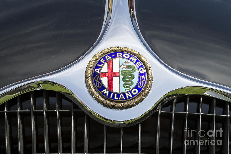 Alfa Romeo #2 Photograph by Dennis Hedberg