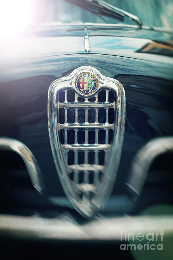 Alfa Romeo Vintage Car Photograph