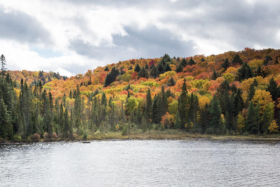 Algonquin Park in fall #1 Photograph by Josef Pittner