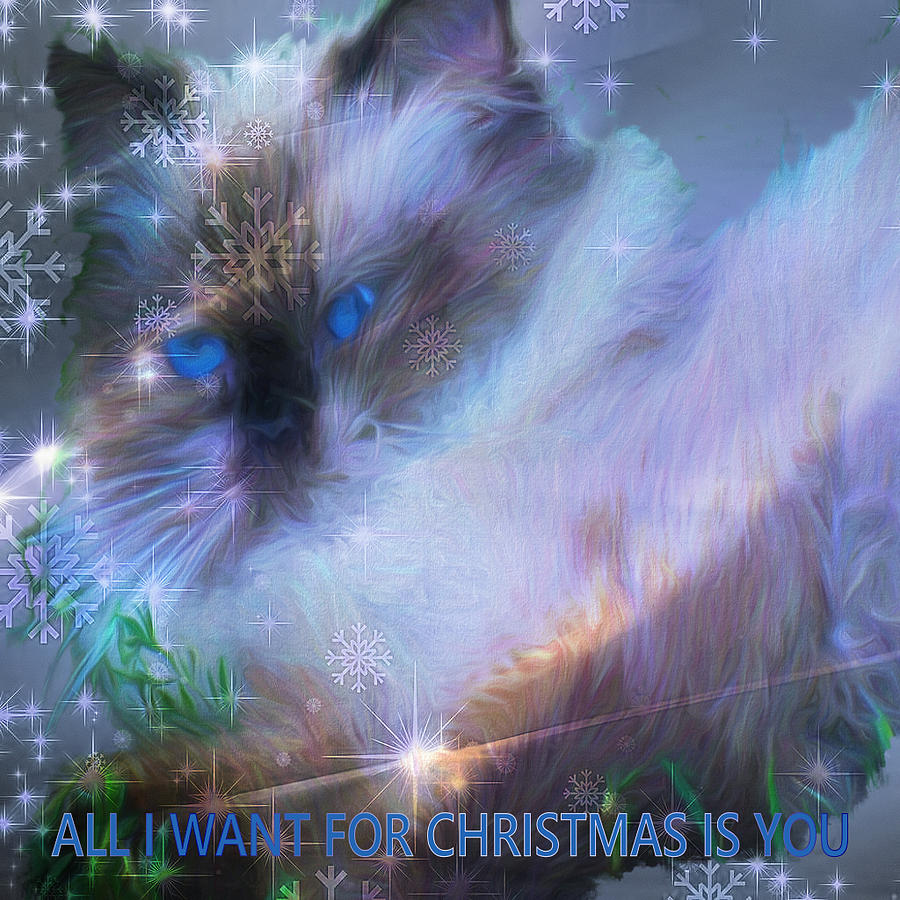 All I Want For Christmas Is You Digital Art