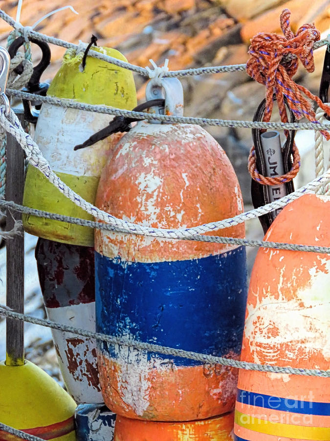 Buoys All Tied Up Photograph by Janice Drew