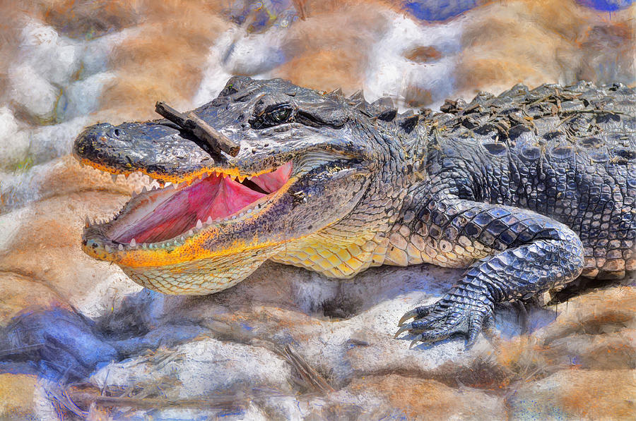 Alligator #1 Photograph by Savannah Gibbs