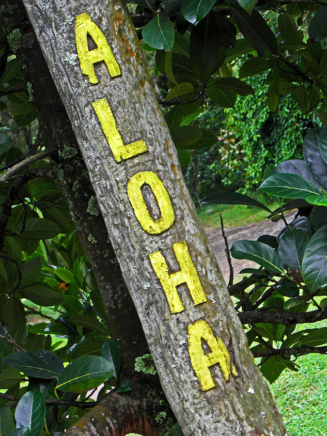 Sign Photograph - Aloha #1 by Elizabeth Hoskinson