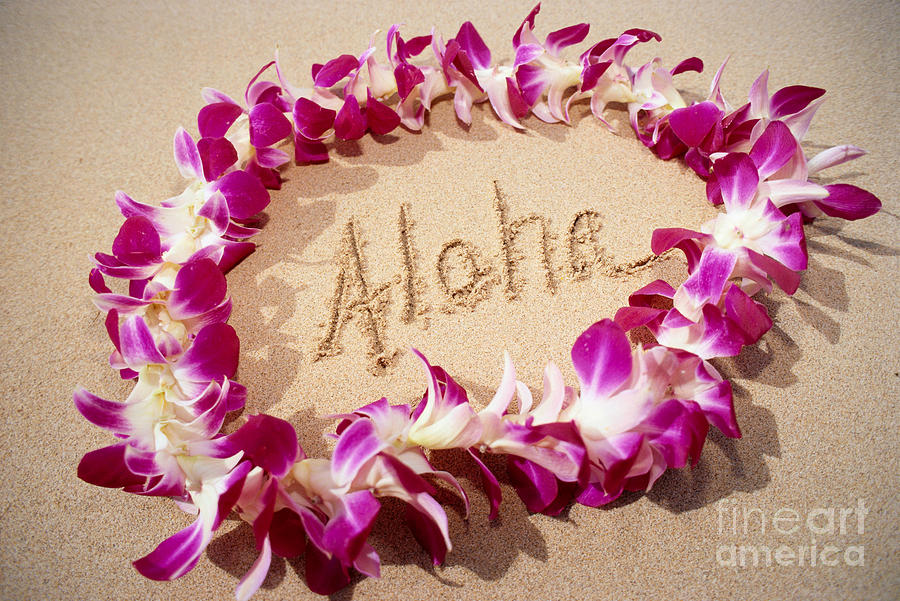 Aloha #1 Photograph by Mary Van de Ven - Printscapes