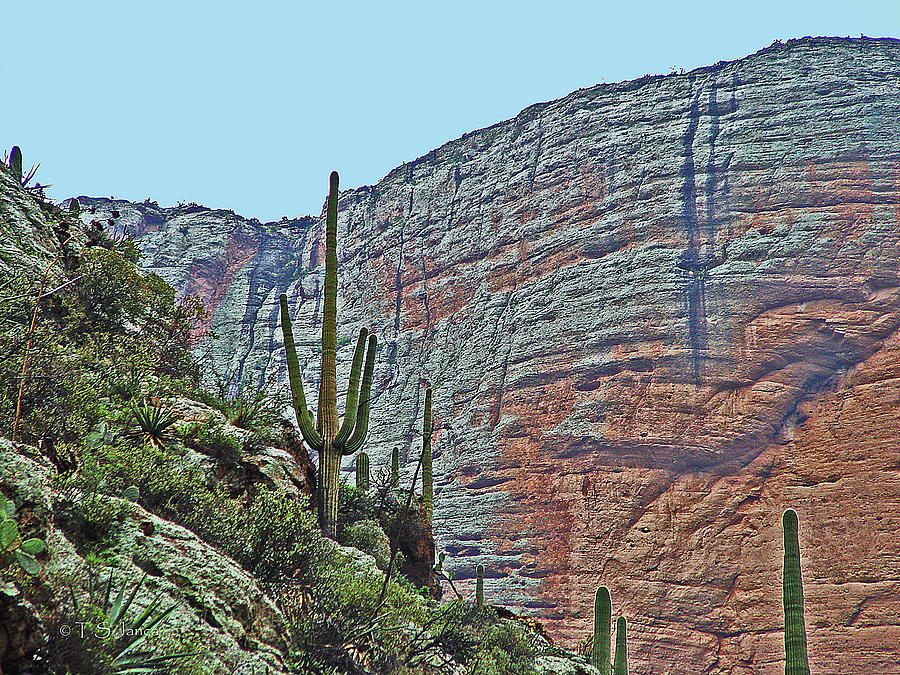 Along The Apache Trail #1 Photograph by Tom Janca
