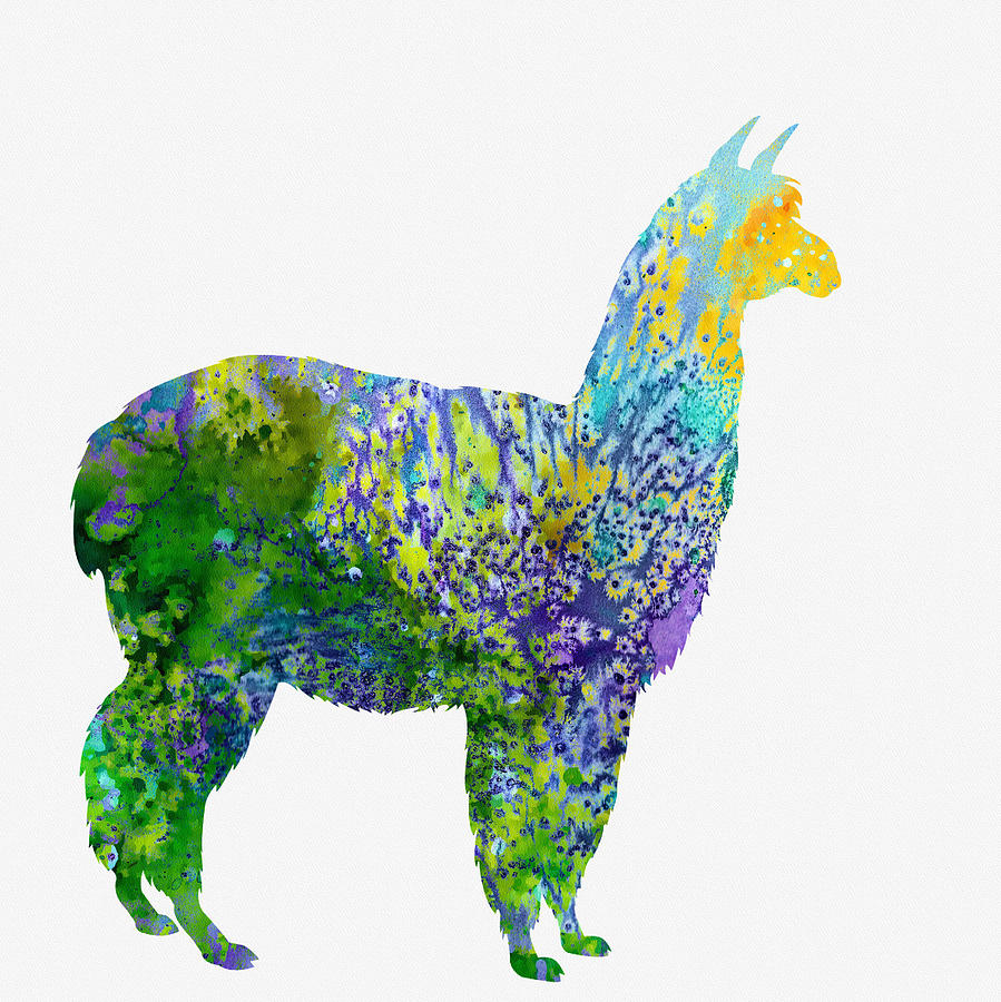 Alpaca-colorful Digital Art by Erzebet S - Fine Art America