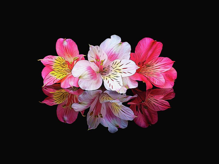Flowers Still Life Digital Art - Alstromeria Trio #1 by Michelle Whitmore