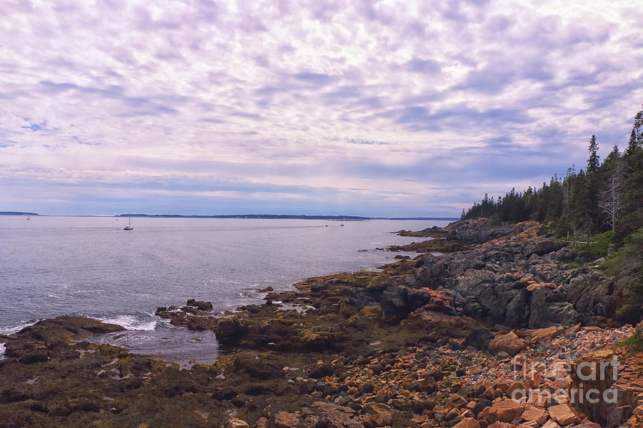 Amazing Acadia #1 Photograph by Elizabeth Dow