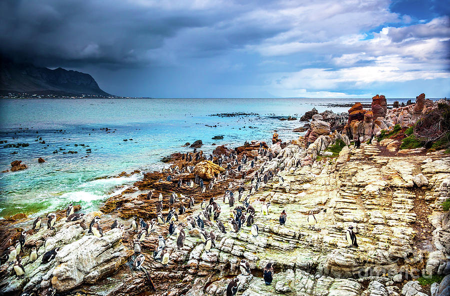 Amazing landscape of Bettys Bay #1 Photograph by Anna Om