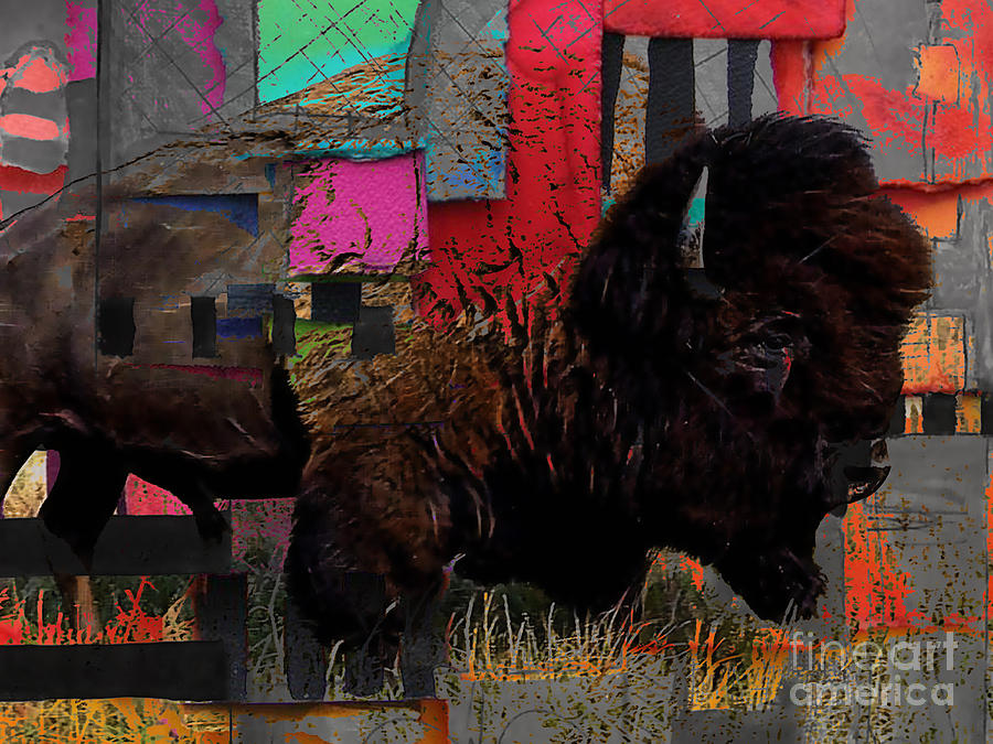 American Buffalo Collection #3 Mixed Media by Marvin Blaine