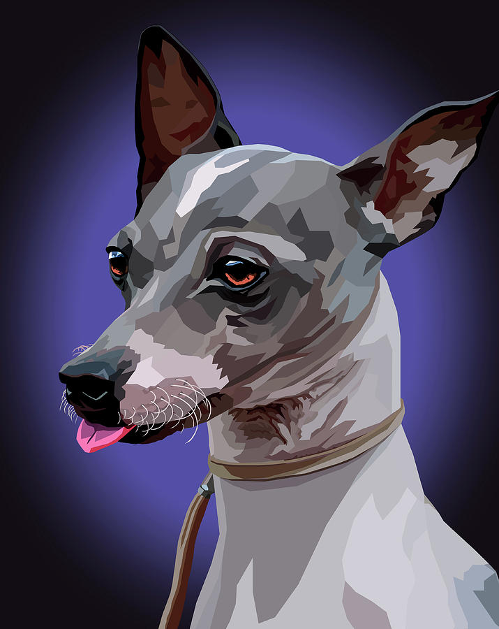 Dog Mixed Media - American Hairless Terrier #2 by Alexey Bazhan