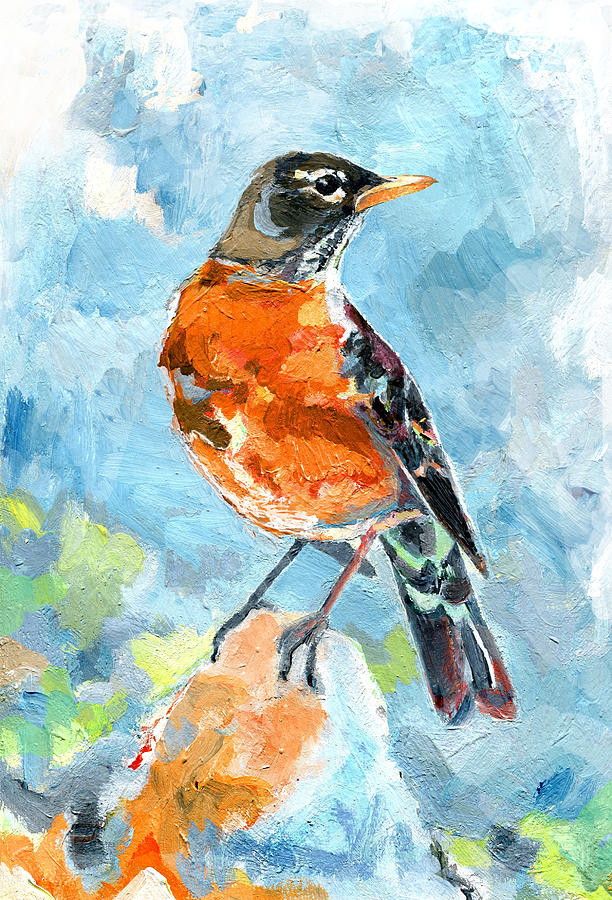 American Robin #1 Painting by Abby McBride