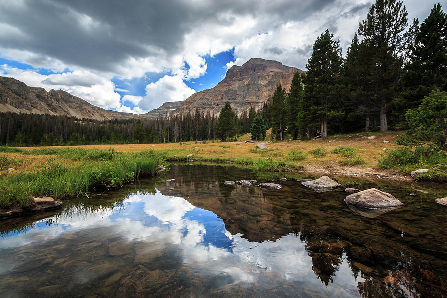 Amethyst Basin Photograph by Gina Gardner - Fine Art America