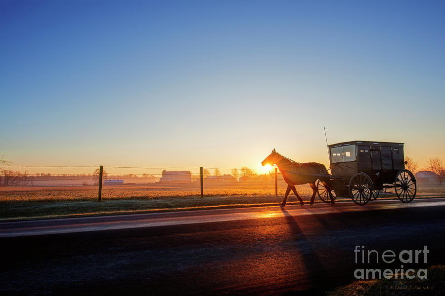 Amish Buggy at Dawn #1 Photograph by David Arment