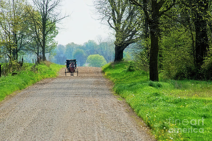 Amish Buggy Gravel Road #1 Photograph by David Arment