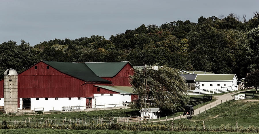 Tree Photograph - Amish Country #1 by Mountain Dreams