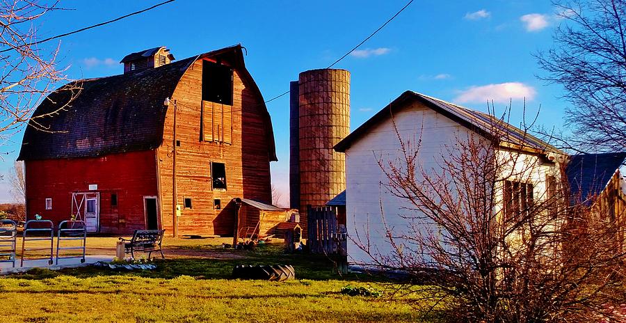 Amish Dairy Farm Photograph By Peggy Leyva Conley