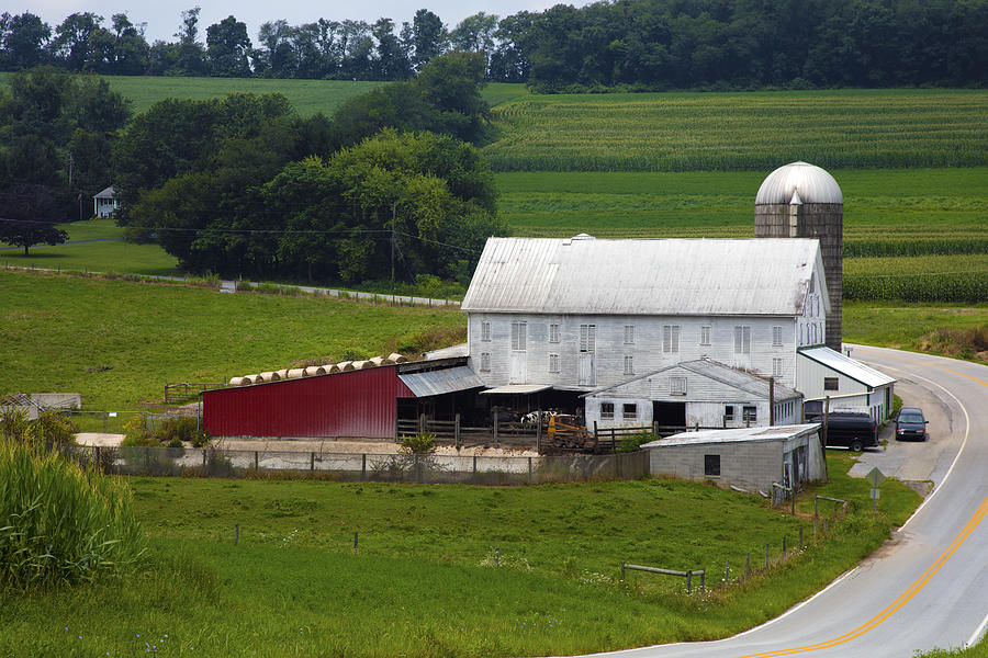 Amish Farm #1 Photograph by Hugh Smith