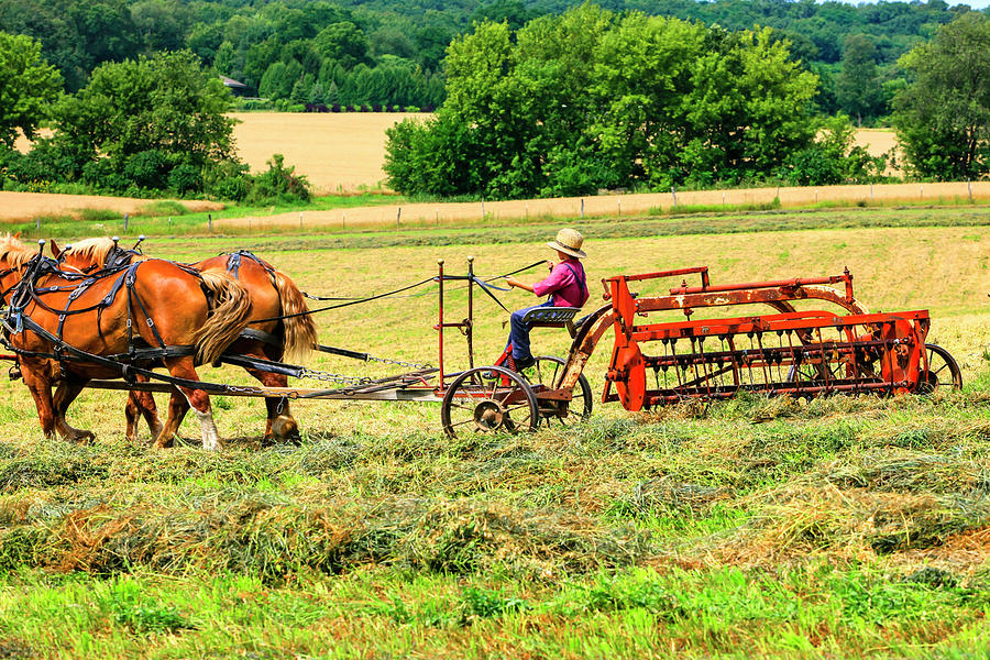 Amish Farming #1 Photograph by Chris Smith