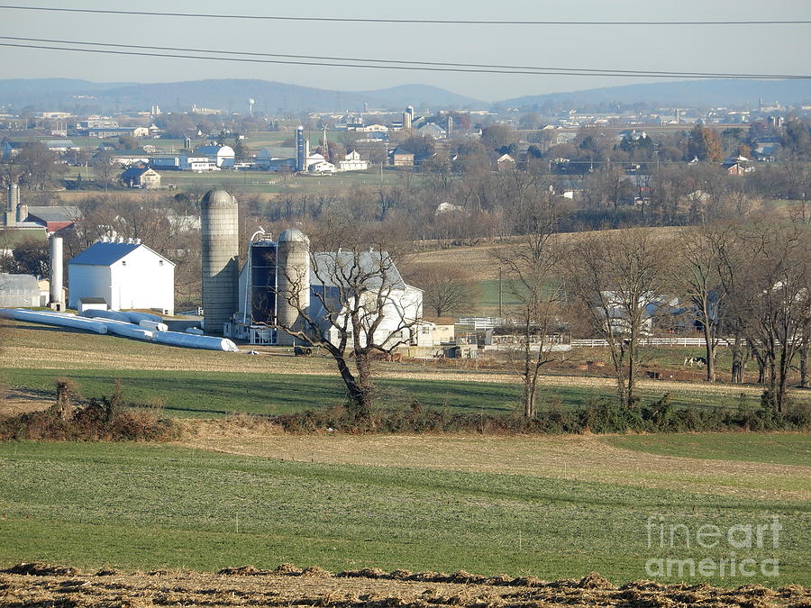 Amish Homestead 48 Photograph By Christine Clark Fine Art America   1 Amish Homestead 48 Christine Clark 